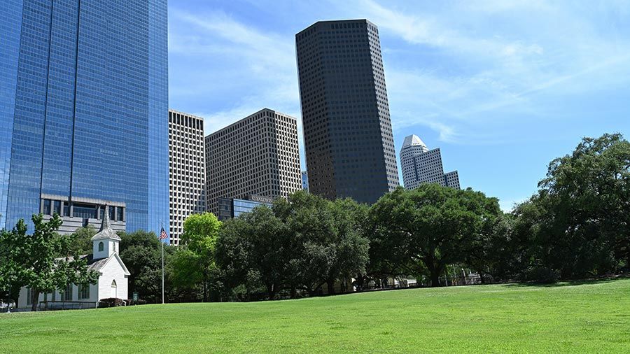 City park with open lawn, tall trees, and skyscrapers in the background