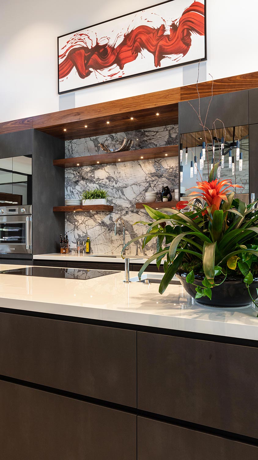 Modern kitchen with abstract red artwork, marble backsplash, and a large decorative plant on the island