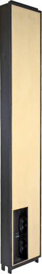 Tall rectangular Wisdom Audio speaker with a beige front panel and visible subwoofer